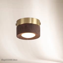 corridor lamp Walnut ceiling lamp ash wood led lights for room living room Spotlights Porch light home decor lighting Fixtures