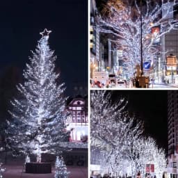 Solar String Lights 30/100/200/300 LED Solar Christmas Lights 8 Modes Waterproof Outdoor Twinkle Lights Garden Tree Party Decor