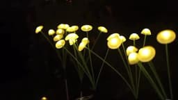 NEW 2/1Pcs Solar Lawn Lights Outdoor Waterproof LED Mushroom Lamp Jellyfish Warm Light for Garden Decor Yard Party Patio