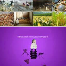 Y1UB UV Bulb Black Light Energy-Save 220V/E27 30W/40W Screw Lamp Bulb for Agriculture Money Identify