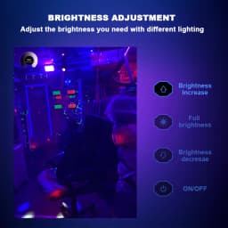LED UV Lamp Flood Light 395nm 400nm USB 5V Ultraviolet Stage Lamp 50W 100W 200W LED Stage Blacklight Waterproof Disco Party