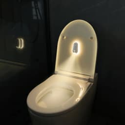 2 in 1 Toilet Sensor Light with UV Sterilization, 3 Brightness Levels, 120° Sensing Angle for Home Toilet Use