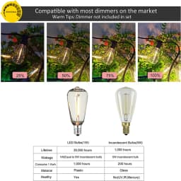 10X E12 Base LED String Light Bulbs Warm White Bulbs ST38 LED Edison Replacement Light Bulbs String Lights for Indoor Outdoor