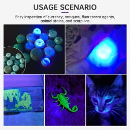SOFIRN SF16 EDC 365nm UV Flashlight SST08 USB-C Rechargeable Protable 18650 Torch with Tail Switch Lamp for Detection