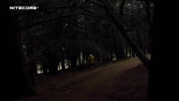 Nitecore UT27 Headlamp Dual Beam Fusion Elite 800 Lumens CREE XP-G3 S3 LED Headlight Running HBL-1500mAh Rechargeable Battery