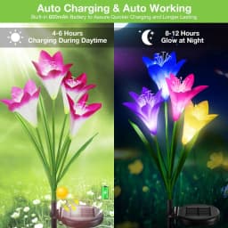 Solar Lily Flower Light 7 Color Changing Waterproof Solar Pathway Landscape Lights for Outdoor Courtyard Garden Yard Decor