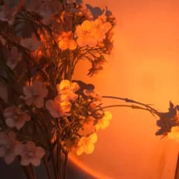 Sunset Photography Light USB Rainbo LED Light Mobile Phone Self Neon Night Light Projector Photography Wall Atmosphere Light