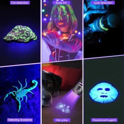 120W 365nm UV Flashlight 6Light Ultra Violet Black Light Ink Dryer Money Fluorescer Cat Dog Urine Tinea Ore Money Detector SV116