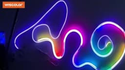 Wiscolor WIFI RGBIC LED Neon Strip Lights Waterproof Voice Control Work With TUYA Smart Life For DIY Room Home Decoration