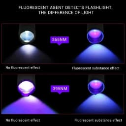 Wavelength Violet Flashlight UV LED Portable Flashlight 395nm Black Light Pet Urine Scorpion Feminine Hygiene Detector Torch