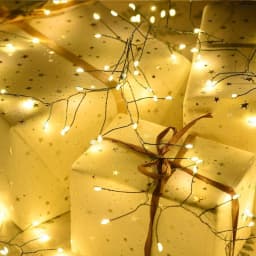 LED Green Line Firecracker Light Green Line Centipede Copper Wire Firecracker Light String Outdoor Courtyard Decoration Light Co
