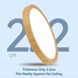 Ultra Thin Led Ceiling Lamp Home Lighting Fixture Surface Led Ceiling Light Modern Kitchen Bathroom Living Room Dial Control