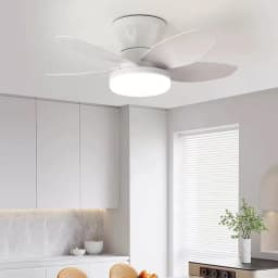 Ceiling Fan with Light 3 Colors, 6 Speeds, Timing, Ceiling Fan with Remote Control 5 Blades for Kitchen Bedroom Dining Room