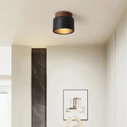 Wabi-sabi Ceiling Lamp Black Cave Stone Porch Balcony Light Northern Europe Ceiling Chandelier for Home Corridor Decoration