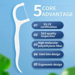 600PCS Floss Family Pack Ultra-fine Toothpick Disposable Flat Floss Portable Portable Flossing Double Head Use Oral Hygiene