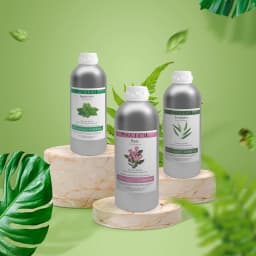 PHATOIL 1000ml Natural Aromatherapy Essential Oil Lavender Jasmine Eucalyptus Vanilla Lemon Bergamot Rose Aroma Essential Oils