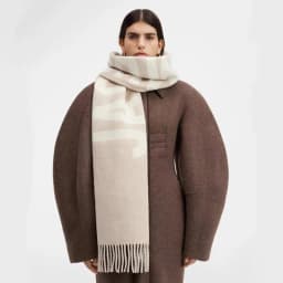 Luxury Brand 100% Wool Warm Scarf For Women Design Winter Men Shawl Wrap Pashmina 2025 Letter Female Bufanda Echarpe Foulard