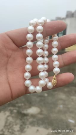 AAA++++8-9mm Circular Natural Akoya White Pearl Necklace 18'