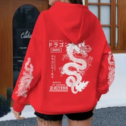 Harajuku Dragon Printed Hoodies for Men Women, Casual Japanese-style Sporty Spring Autumn Hoody, Vintage Unisex Hooded