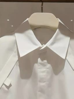 2025 Summer Short Blouses Half Sleeve Embroidered Short Sleeve Top Flip Collar Loose Bat Sleeve White Shirt For Women