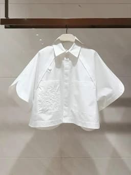 2025 Summer Short Blouses Half Sleeve Embroidered Short Sleeve Top Flip Collar Loose Bat Sleeve White Shirt For Women