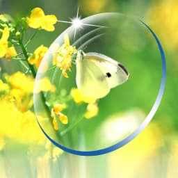 HD Aspherical Lenses 1.56/1.61/1.67/1.74 Myopia Hyperopic Astigmatism Lenses Wear-resistant Optical Prescription Lens 2 Pieces