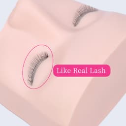3 Layers Lashes Mannequin Head For Practice Lash Makeup Tool Extensions Eyelashes Grafting  Training Tools Makeup Practice Model