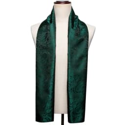 Barry.Wang Mens Scarf Jacquard Floral Paisley Casual Formal Gold Green Red Blue Purple Gray For Male Wedding Business Party
