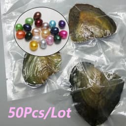 50PCs/Lot 10PCs/Lot Vacuum Pack Oyster Wish Pearl About 7-8mm Freshwater Pearl Oyster DIY Jewelry Accessories Gift High-quality Pearl Bead