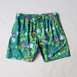 High Quality Men's Luxury Beach Shorts, Swimwear Suitable for Water, Stretchy, with Inner Mesh, Quick-Drying Turtles Surfing Swim Trunks Crankshaft