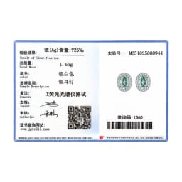 MODIAN 1CT D Color Green Moissanite Halo Earrings 925 Sterling Silver Elegant Oval Stud Earrings For Women Party Fine Jewelry