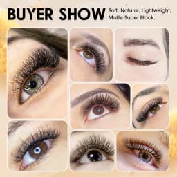 New MASSCAKU 5cases/lot  W Shape Eyelash Extensions 3D-8D Premade Volume Fans WW Style False Eyelashes Natural Private Label