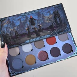 Shellwe Makeup Misty Spirit All Matte Eyeshadow Palette Fog Shadow Ghost Ten Color Full Matte Eye Shadow Disk