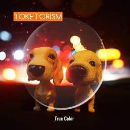 Toketorism Anti Blue Light Lenses Resin Aspheric Glasses Lens Prescription Computer Glasses