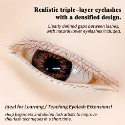 Mannequin Head Model Practice False Eyelash GraftingTraining Mannequin Head Can Open Eyelids With False Lashes Reusable