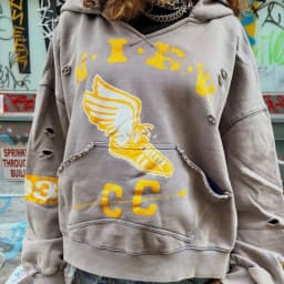 Y2K College Grey Sweatshirt Winged Sneaker Graphic Ripped Crop Hoodie American Retro Hip Hop Streetwear Unisex Oversize Clothing