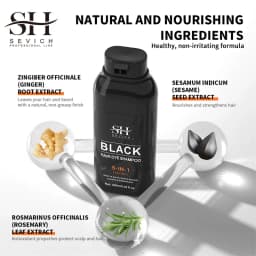 SEVICH 5 In1 Men's Black Hair & Beard Dye Shampoo Instant Gray Coverage Pure Plant-Based Instant Hair Dye Cream Beard Hair Care