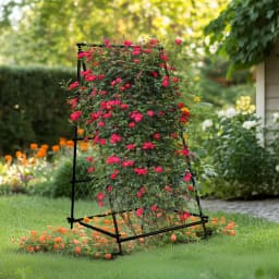 A-Shaped Metal Garden Trellis Climbing Plants Arch Outdoor Vine Plants Support with Netting