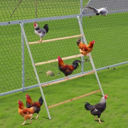 Chicken Perch for Coop with Ladder Design, 104*143cm Outdoor Chicken Perch, Durable Hen Coop Access for Backyard Poultry