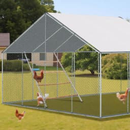 Chicken Perch for Coop with Ladder Design, 104*143cm Outdoor Chicken Perch, Durable Hen Coop Access for Backyard Poultry