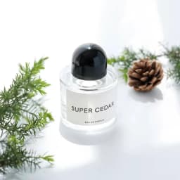 Super Cedar Perfume 100ml Long Lasting Fragrance Luxury Edp Spray