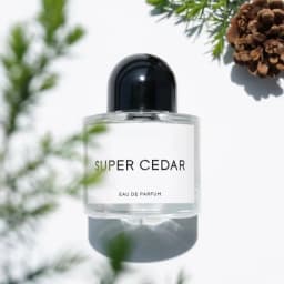 Super Cedar Perfume 100ml Long Lasting Fragrance Luxury Edp Spray