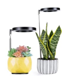 Indoor Full-Spectrum Plant Growth Lights, Led Plant Lights, and Indoor Sunlight-Like Growth Lights, Suitable for Indoor Plants, with a Retractable Base.