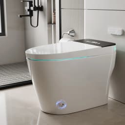 Smart Toilet with Built-in Bidet, AUTO Open/Close, Warm Water Sprayer, AUTO Dual Flush, Heated Bidet Toilet Seat for Bathrooms