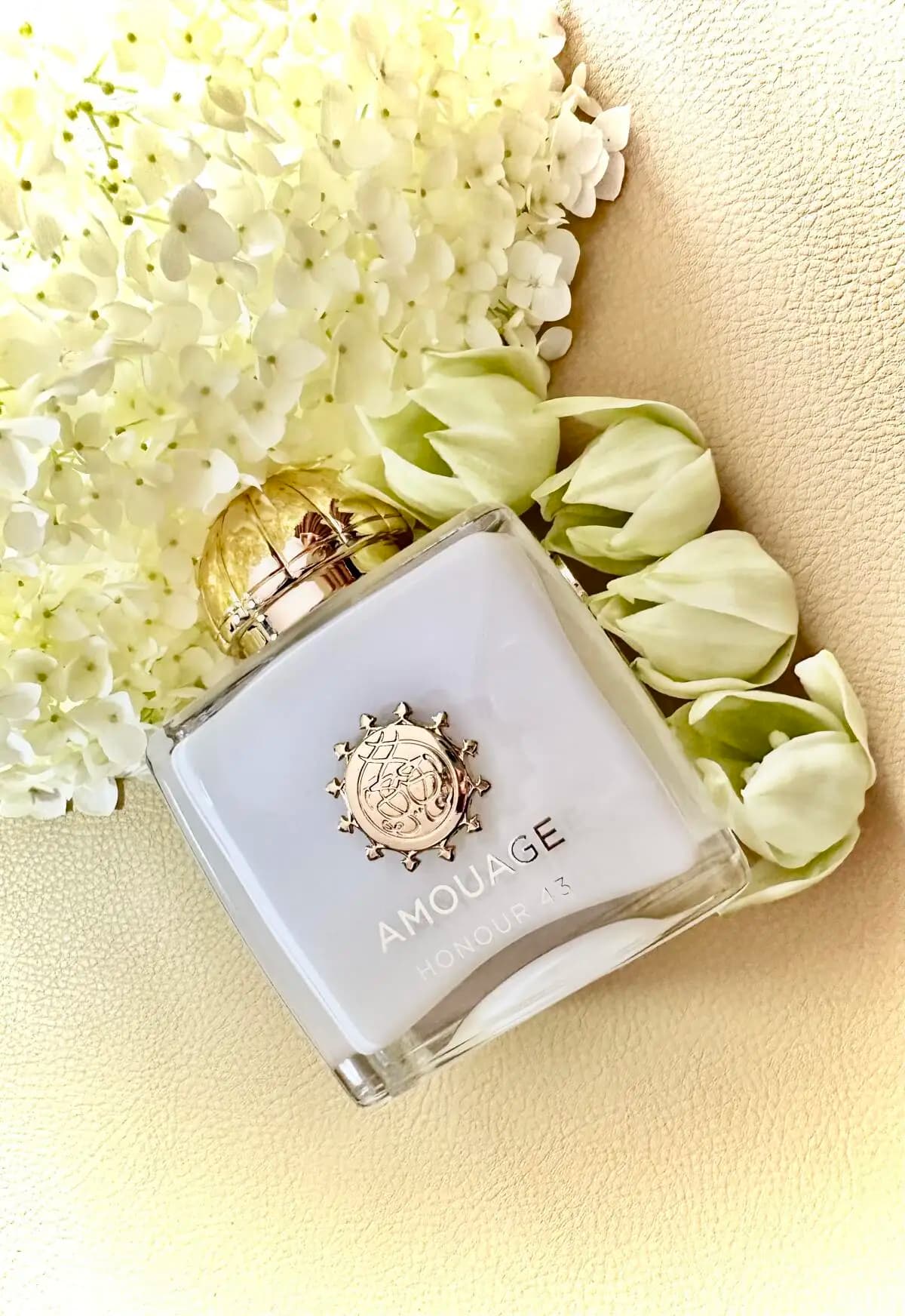 Amouage Jubilation 40 Honour 43 Extrait De Parfum 100ml Long Lasting Niche Fragrance Luxury Signature Scent Unisex Premium Gift