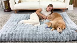 BINGOPAW Ultra-Soft Dog Bed with Removable Cover Machine Washable Cozy Pet Sleep Bed Calming Cat Cushion Cover