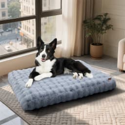 BINGOPAW Ultra-Soft Dog Bed with Removable Cover Machine Washable Cozy Pet Sleep Bed Calming Cat Cushion Cover