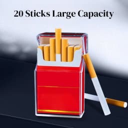Transparent Cigarette Case with Lighter USB Rechargeable Windproof Cigarette Igniter Tungsten Coil Holder for 20 Cigarettes