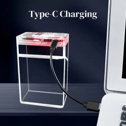 Transparent Cigarette Case with Lighter USB Rechargeable Windproof Cigarette Igniter Tungsten Coil Holder for 20 Cigarettes