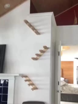 Cat Wall Mounted Solid Wooden Furniture Climbing Ladder and Cat Hammock with Scratching Post for Activity Indoor Cats Perches
